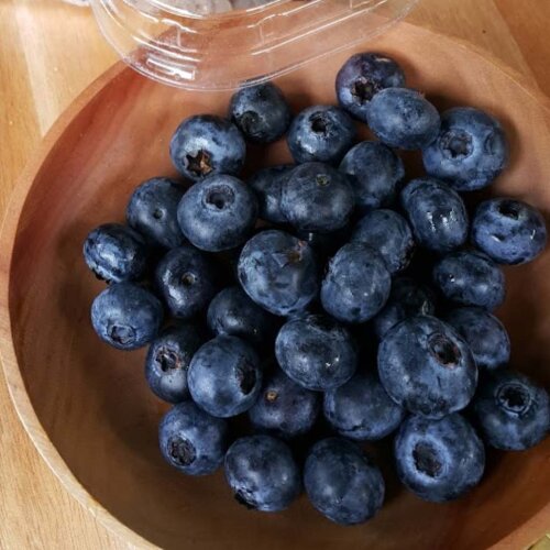 Blueberries Hydroponic 1 pack